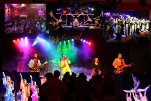 Turnerball TV Obergrombach